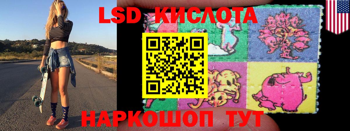 Камень-на-Оби  Наркотические марки 1,8мг  Вход с VPN  Наркотические марки 1,8мг 