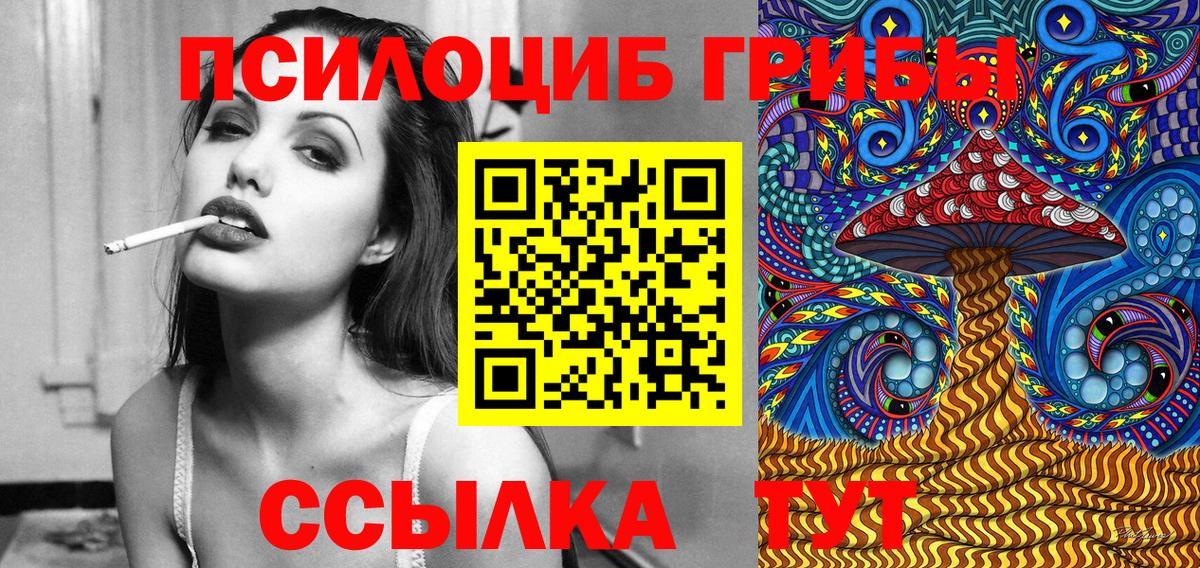 Камень-на-Оби  Псилоцибиновые грибы MAGIC MUSHROOMS  Вход с VPN 