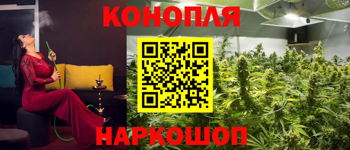Каннабис планчик Камень-на-Оби
